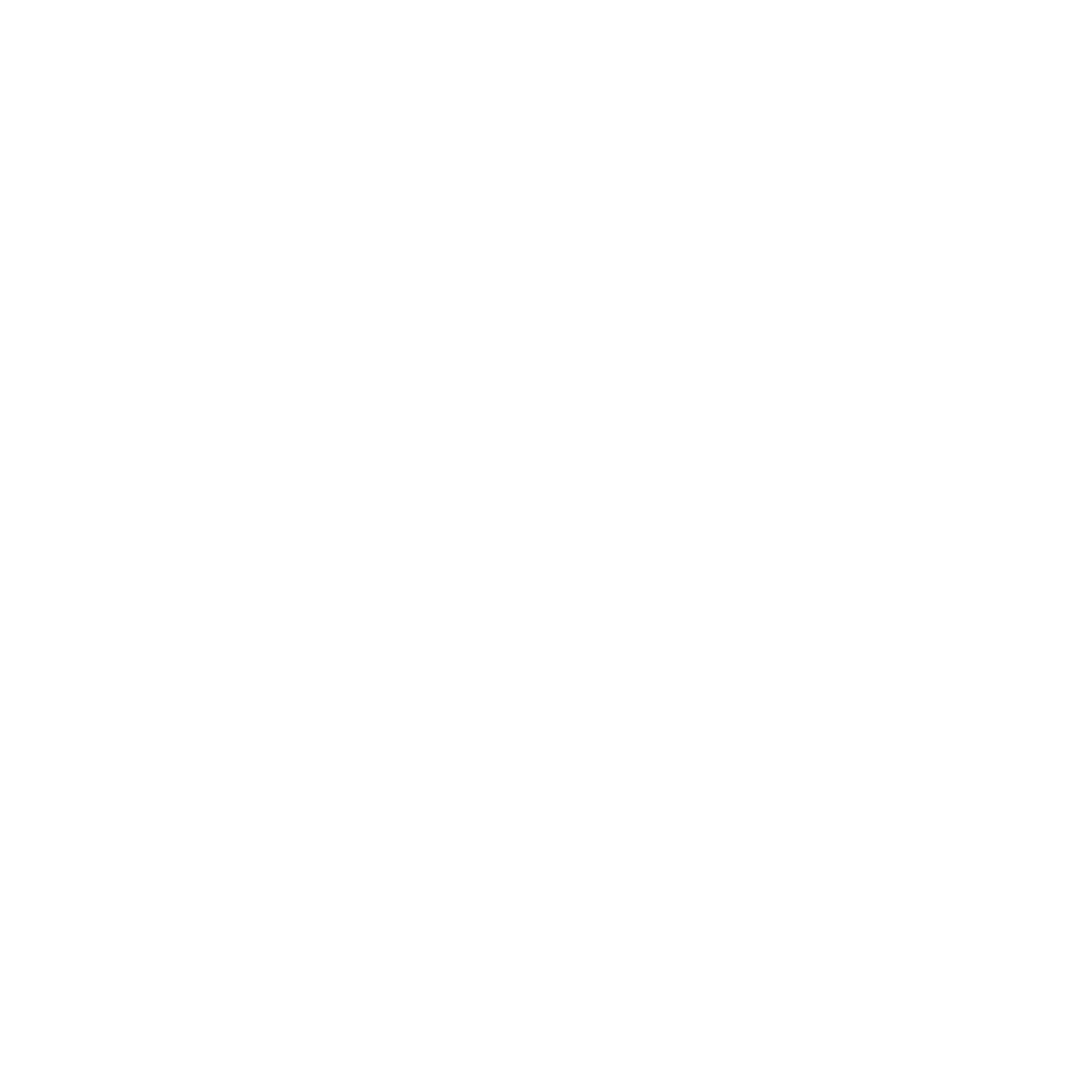 Logo fleur blanc