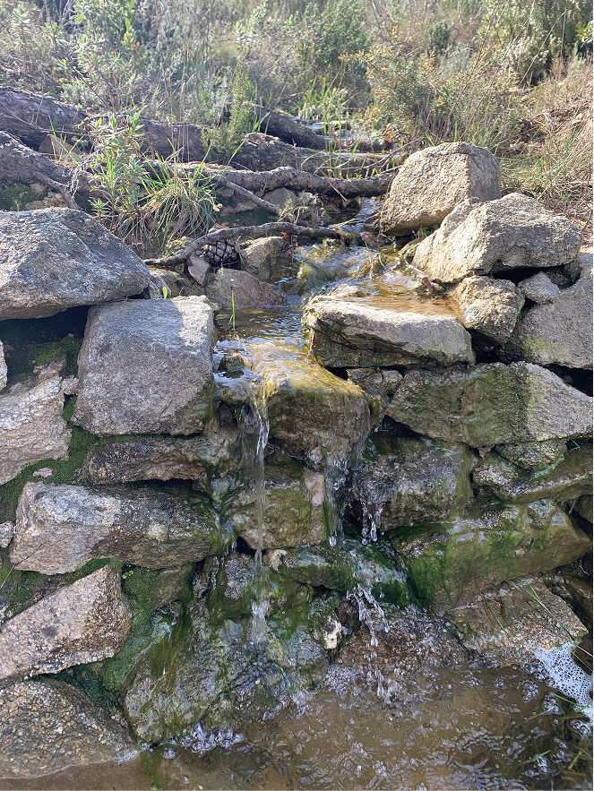 Source d'eau du domaine Picanya