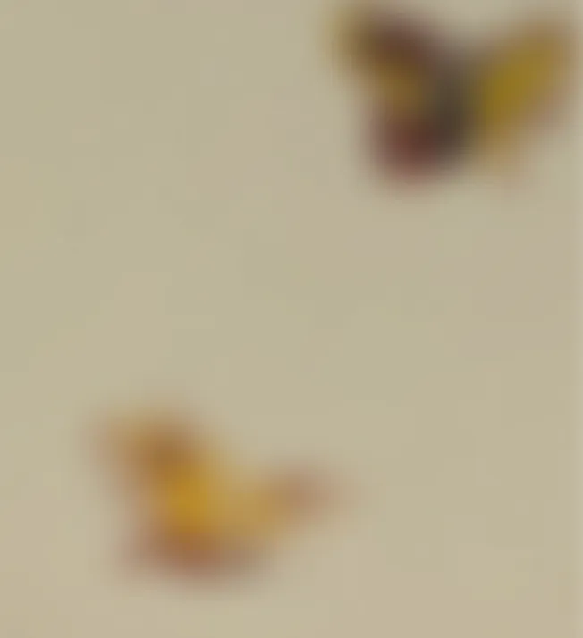 Two blurred butterflies on a beige background.