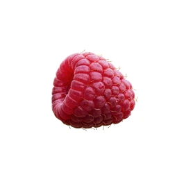 Fresh raspberry
