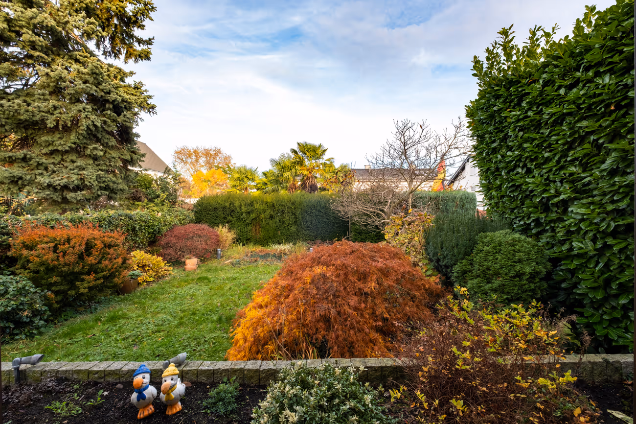 grüner Rückzugsort