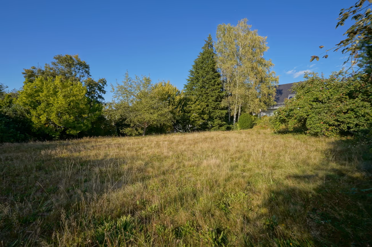 Impressionen Grundstück