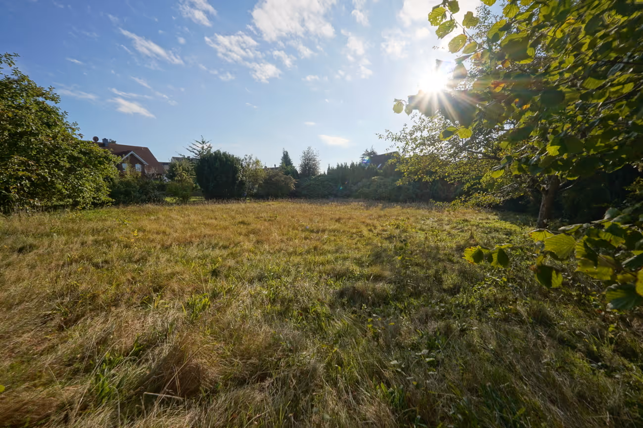 Impressionen Grundstück