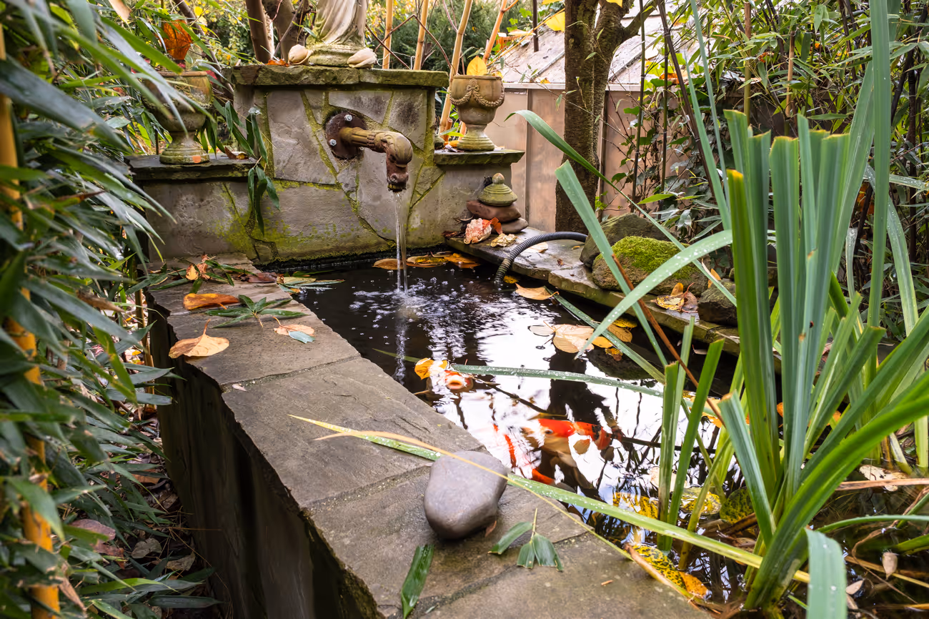 Einfach mal abschalten und entspannen