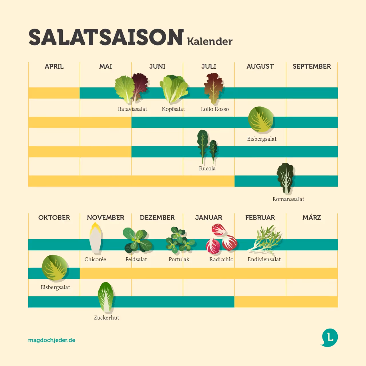Infografik Salatsaison in Deutschland