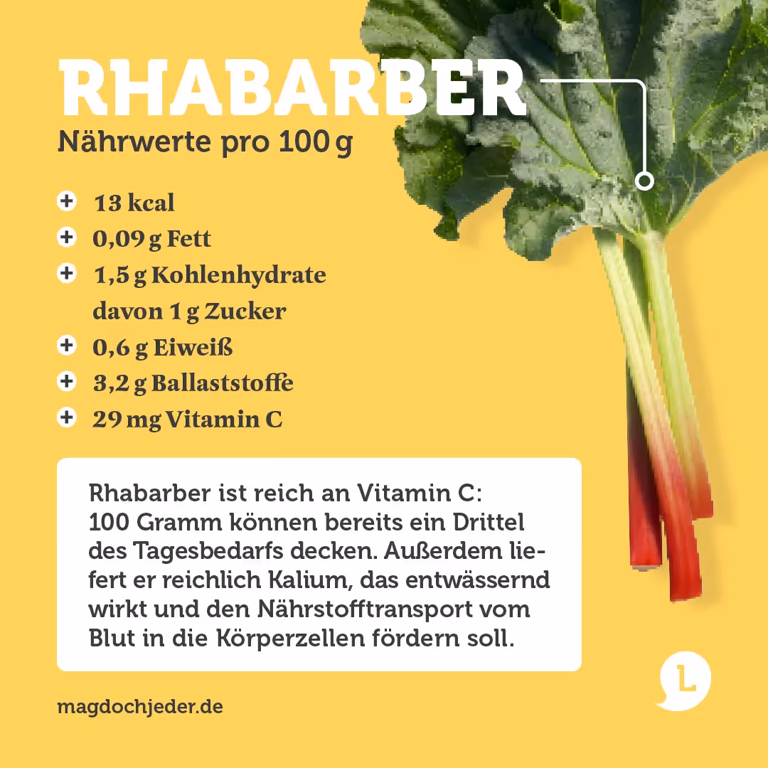 Infografik Inhaltsstoffe von Rhabarber