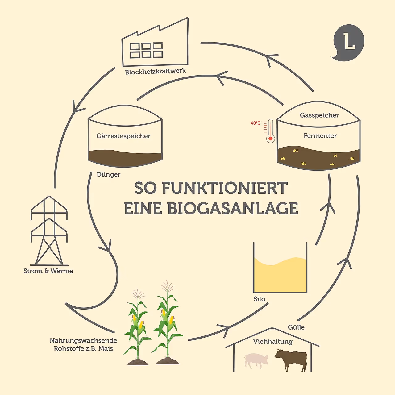 Infografik: Wie funktioniert eine Biosgasanlage 