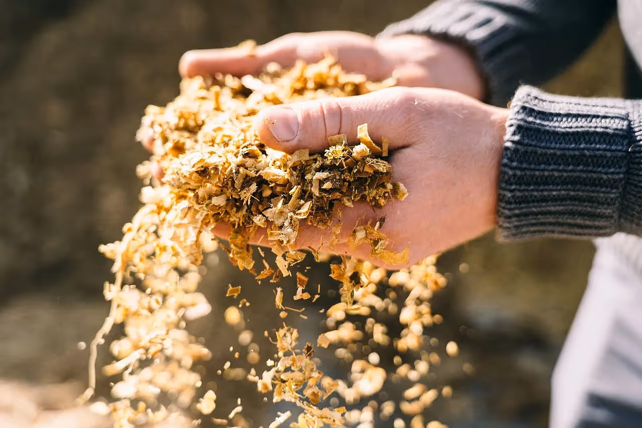 Biomasse als Grundlage für den Betrieb einer Biogasanlage