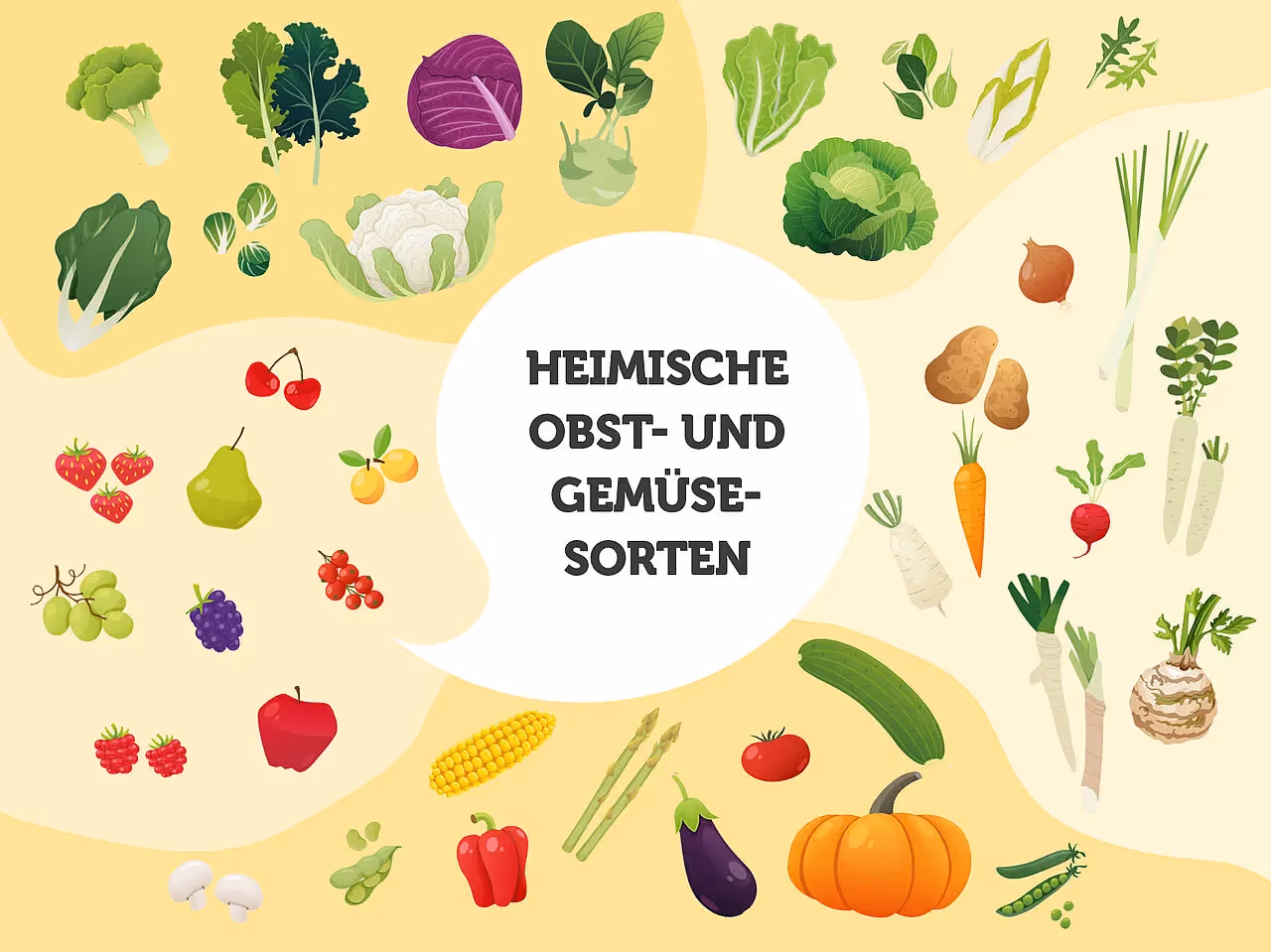 Infografik Landwirtschaftliche Produkte aus Deutschland
