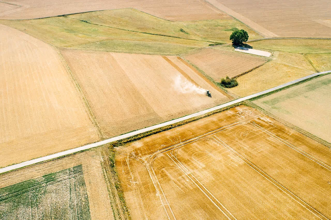 Immer weniger verfügbare Agrarflächen zu hohen Kauf- und Pachtpreisen