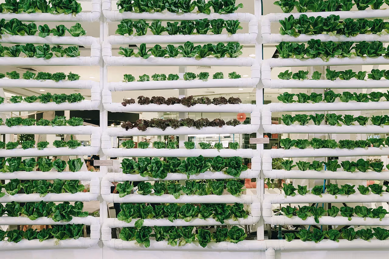 Die Nutrient Film Technique