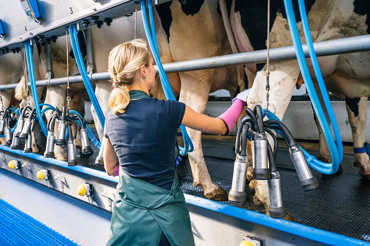 Verwendung von modernen Technologien in der Landwirtschaft