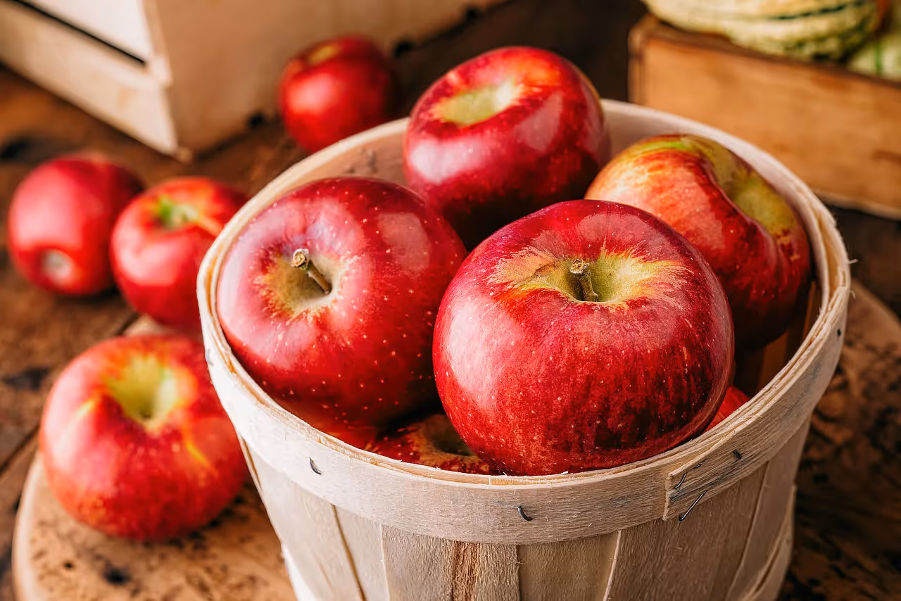 Rote Äpfel in einem Holzeimer
