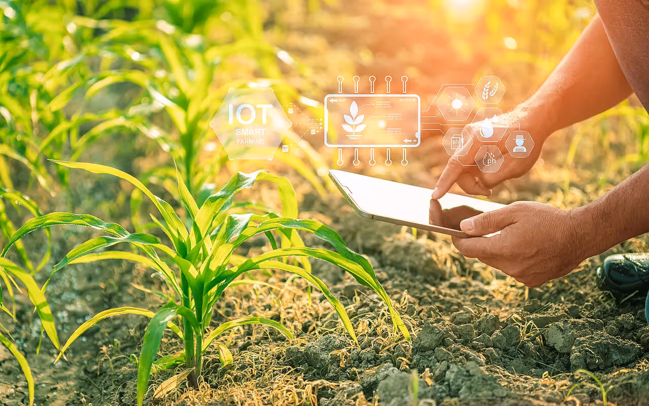 Hand mit Ipad auf einem Feld 