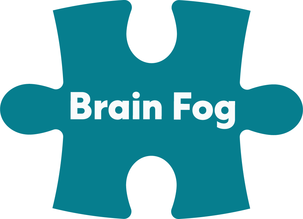 A teal puzzle piece with the words 'Brain Fog' in white bold letters.
