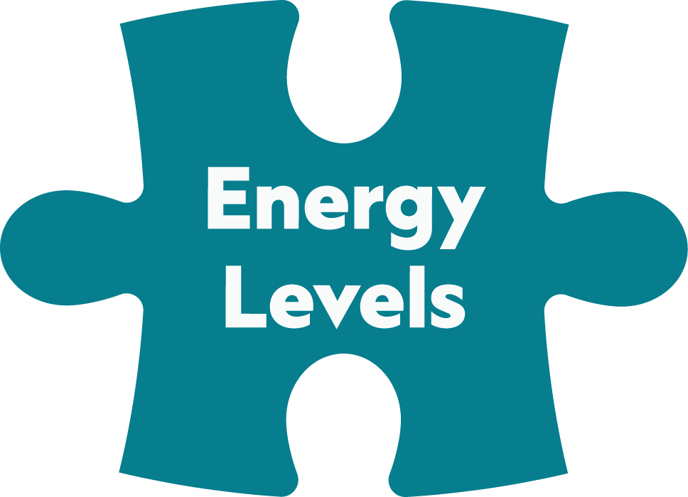 Teal puzzle piece with the white text 'Energy Levels' in the center.