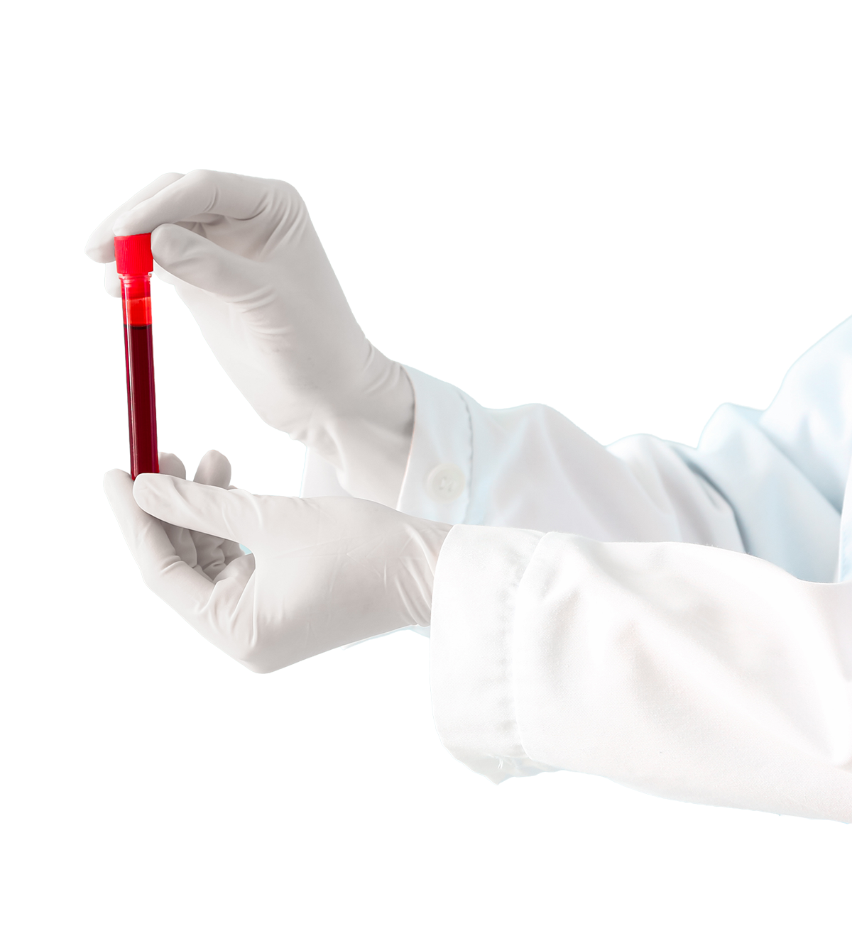 Hands wearing white gloves holding a test tube filled with blood against a white background.