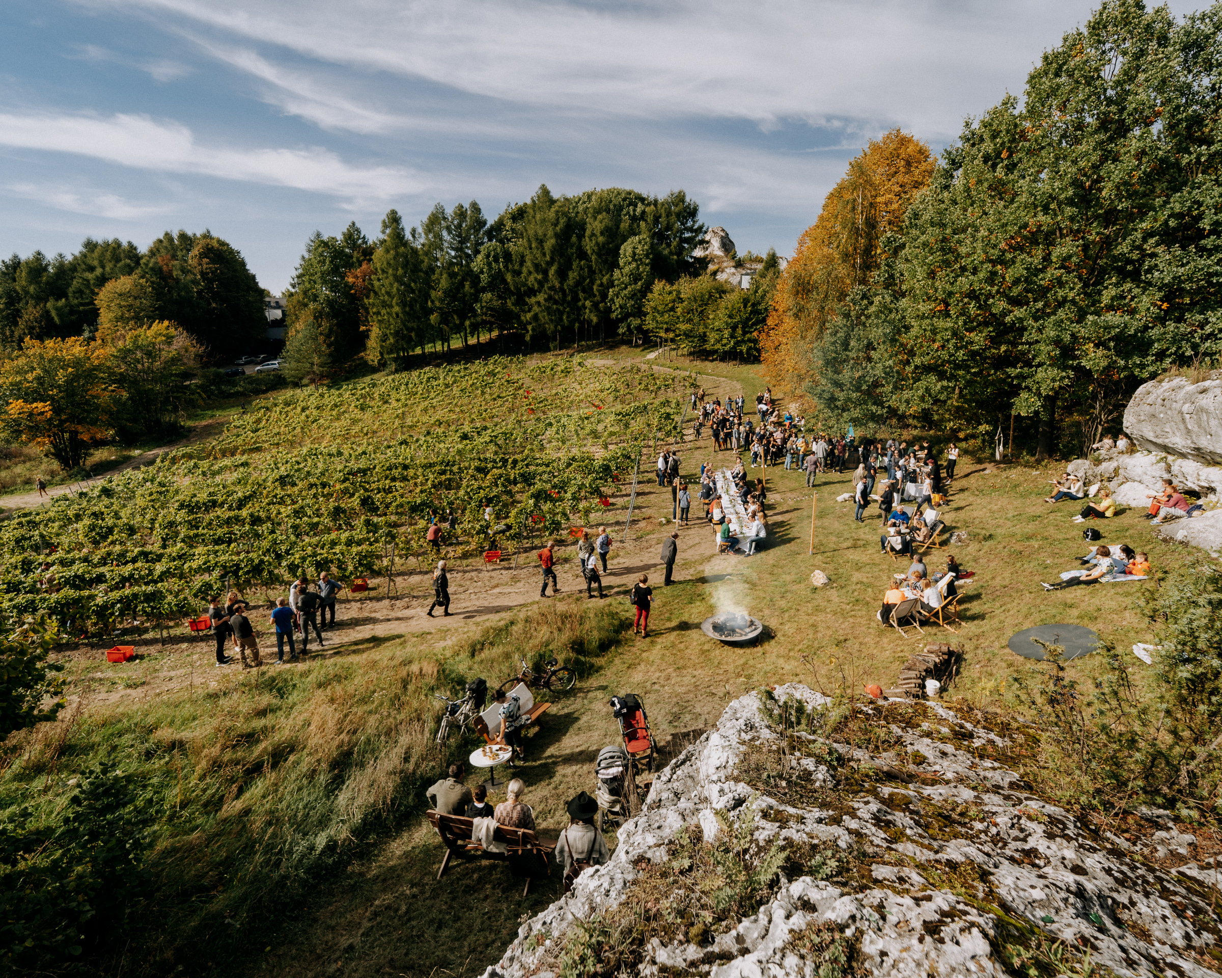 PIKNIK Z WINOBRANIEM