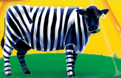 Cow with black and white zebra-like stripes standing on green grass with a yellow background.