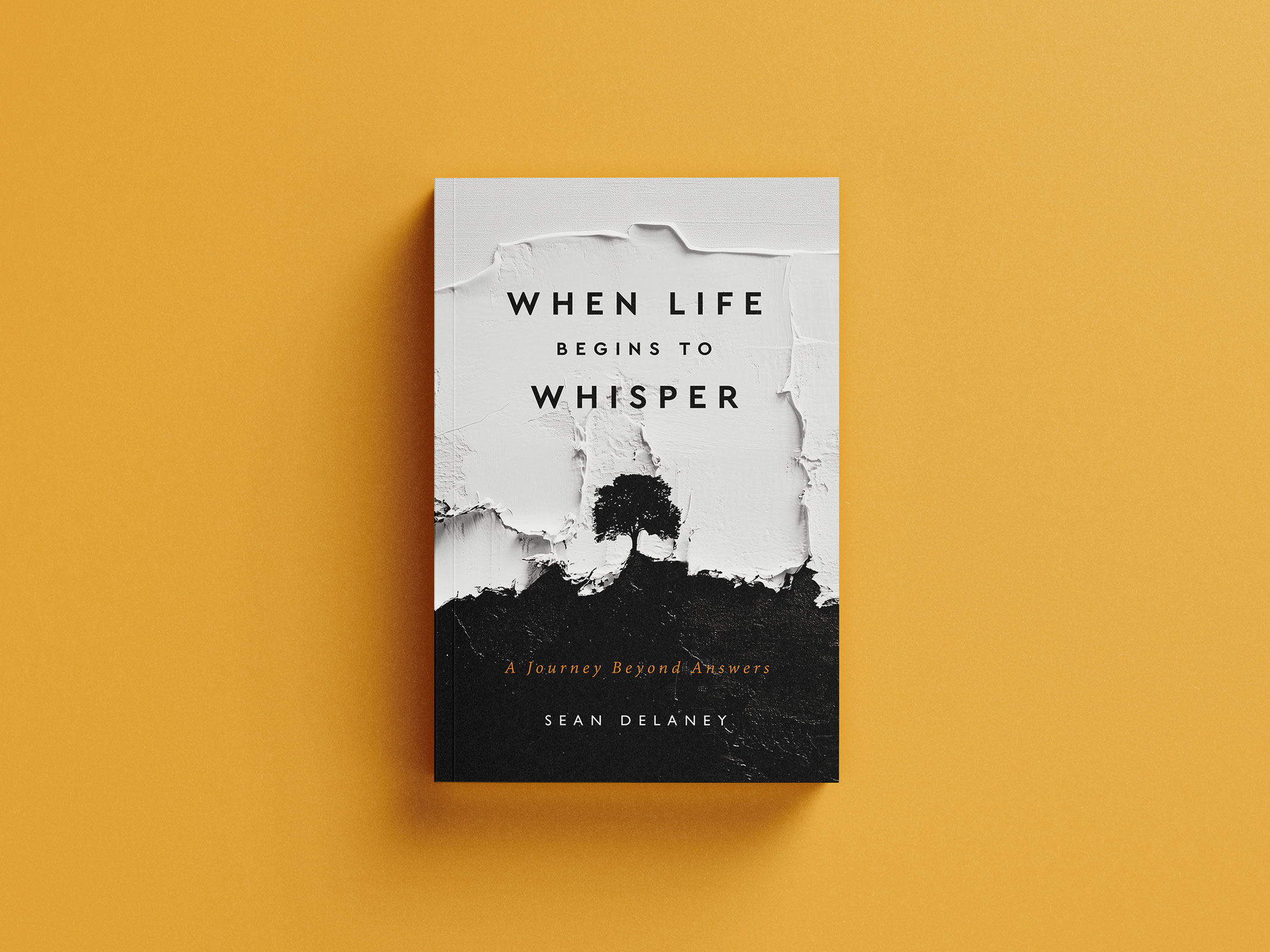 When Life Begins to Whisper by Sean DeLaney