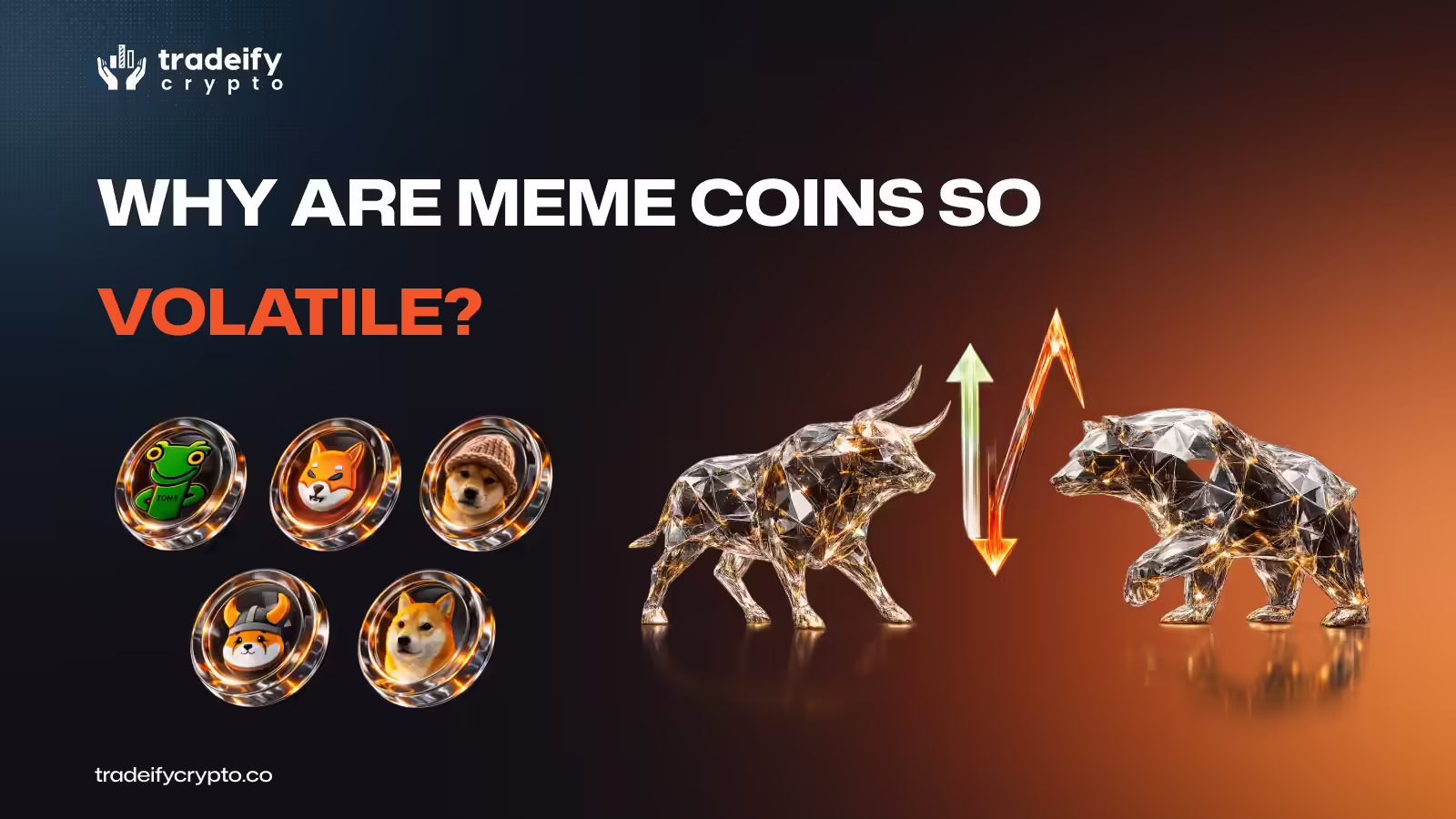 Why Are Meme Coins So Volatile?