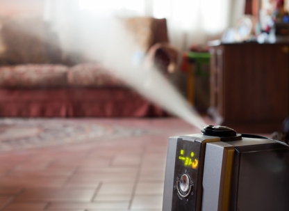 air humidifier in living room of michigan home
