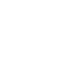 Personal Use Professional Sensor icon