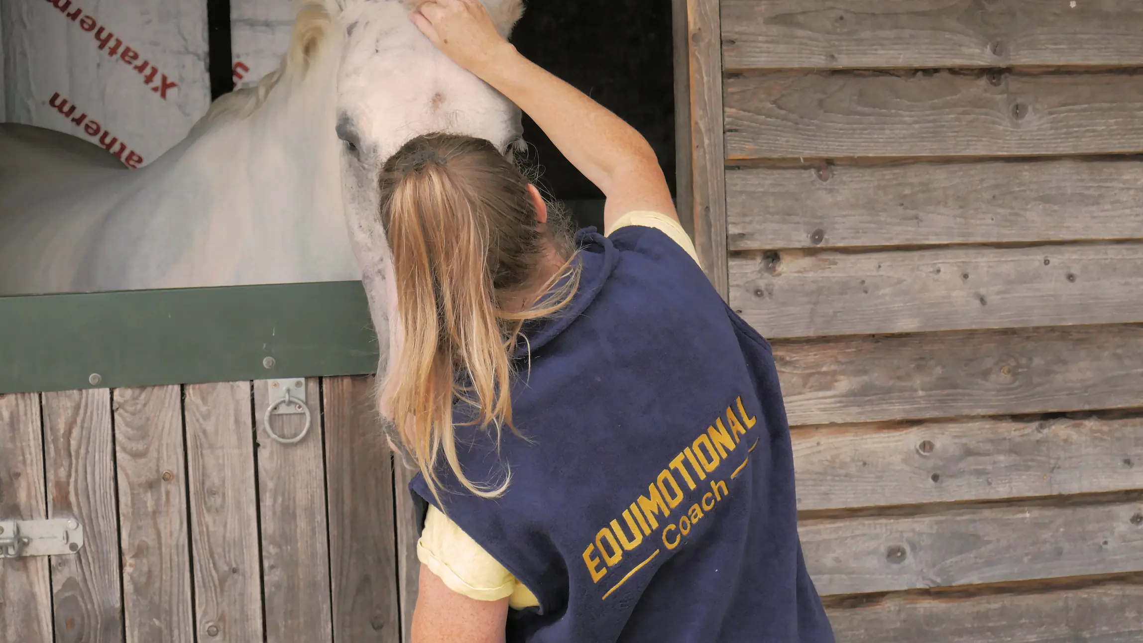 Person wearing a navy vest labeled 'Equimotional Coach' gently touches the forehead of a white horse in a wooden stable.