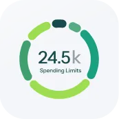 Circular progress bar showing Spending Limits at 24.5k with segmented green and dark green sections.