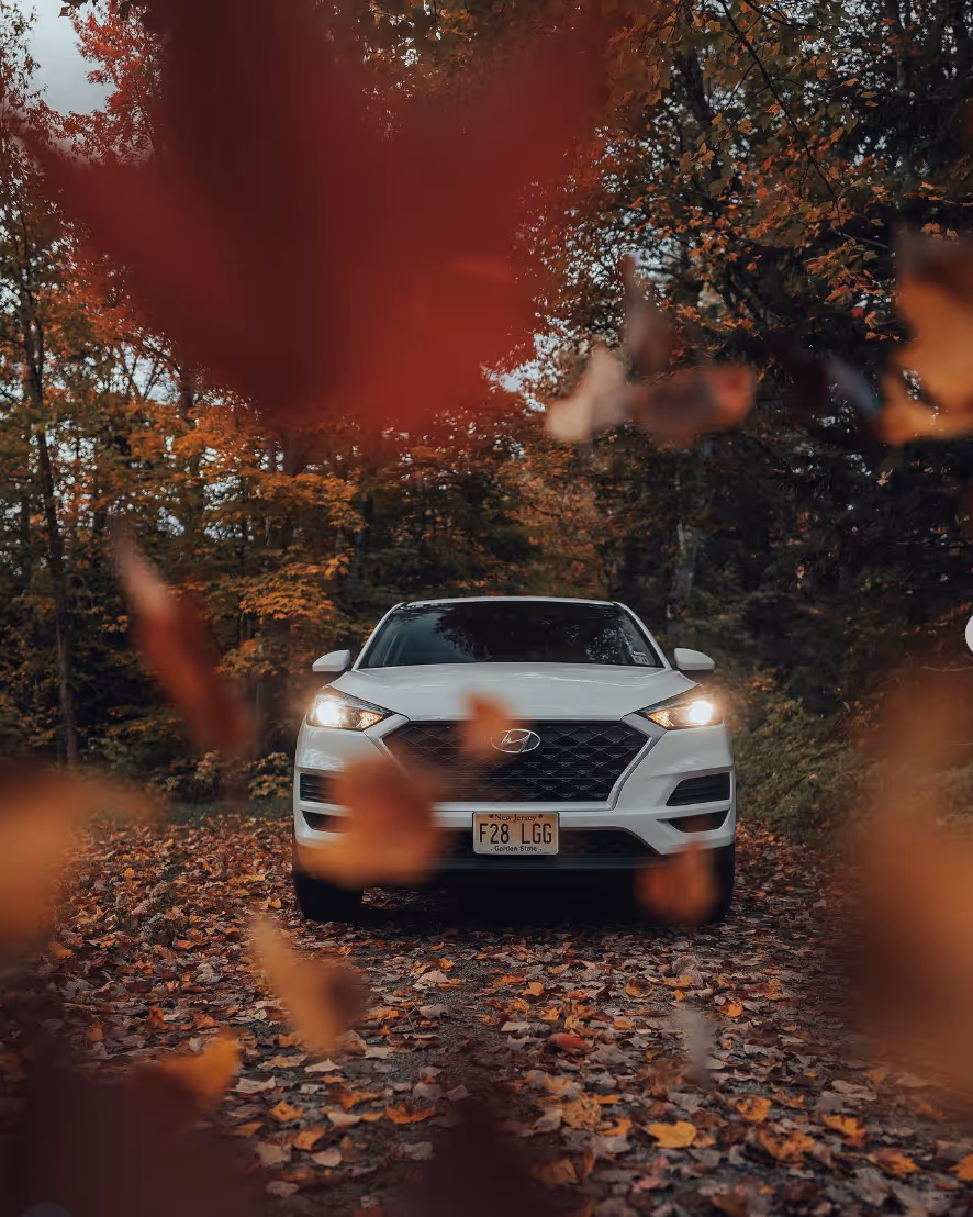 White Hyundai SUV with headlights on driving on a leaf-covered path in a forest during autumn.