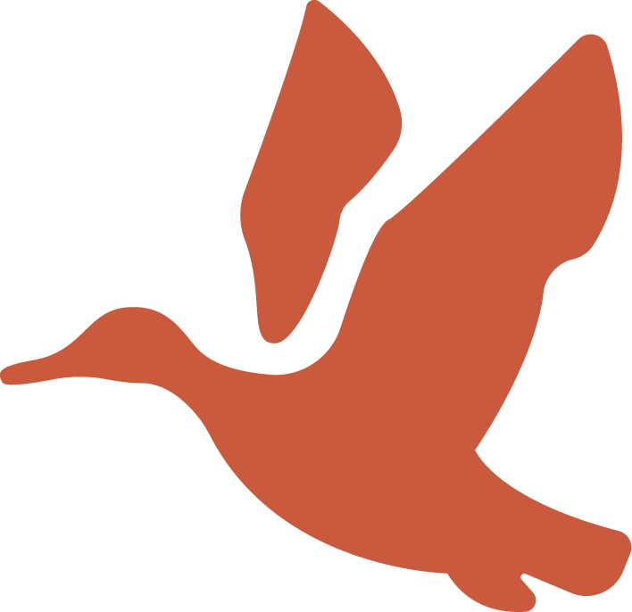 Orange bird