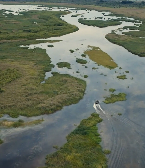 Aerial view of a winding river flowing through lush green wetlands with a small boat creating ripples on the water.