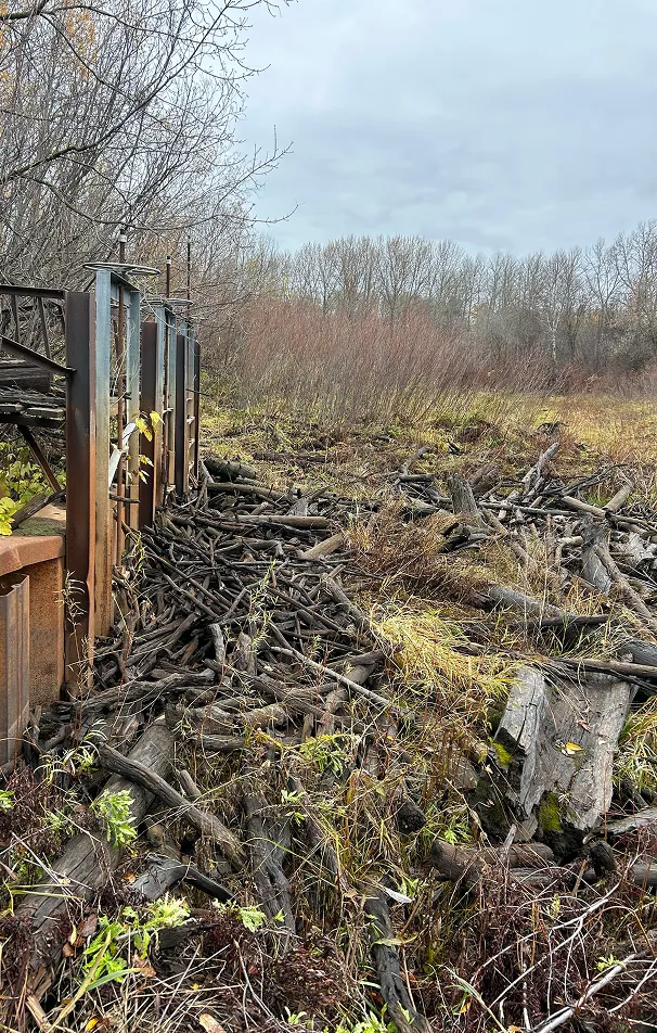 A pile of branches and logs gathered beside a rusty metal structure in a field with leafless trees under a cloudy sky.