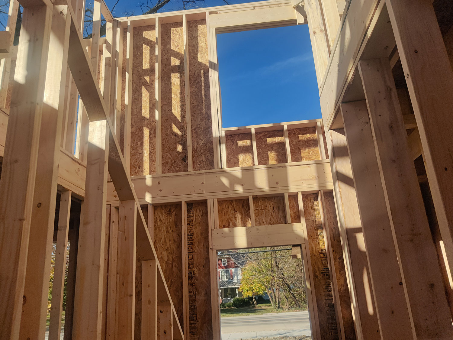 Treeline Builders Project 4