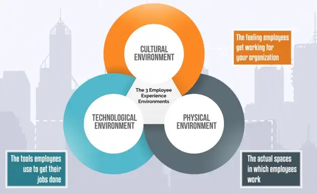 three employee experience environments