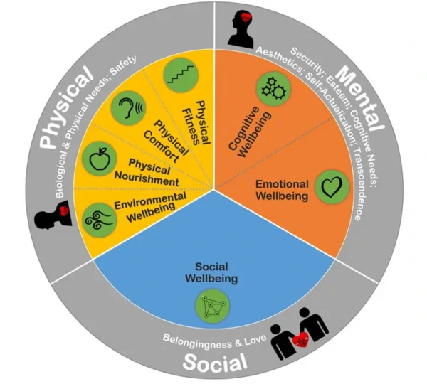 Corporate wellbeing programme: physical, mental and social dimensions