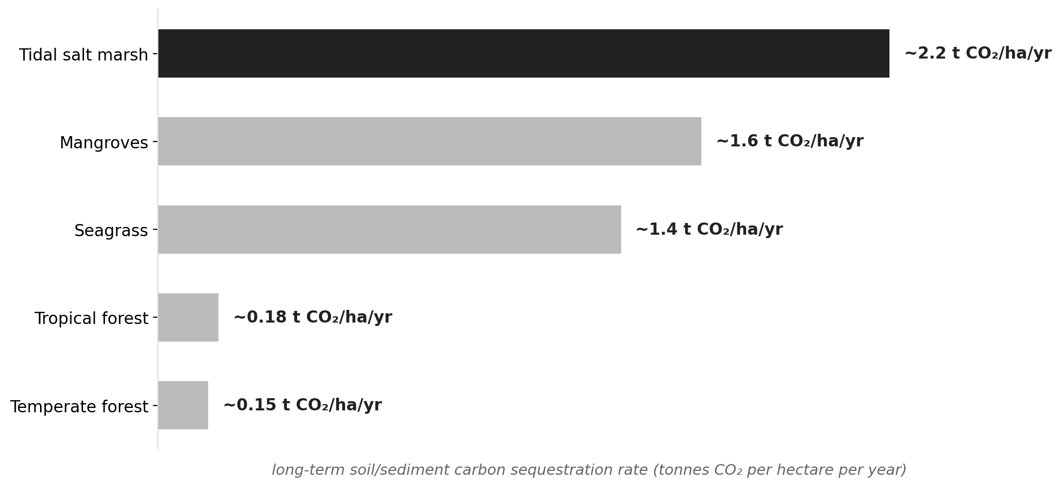 Blue carbon: tidal wetlands sequester carbon far faster than terrestrial forests