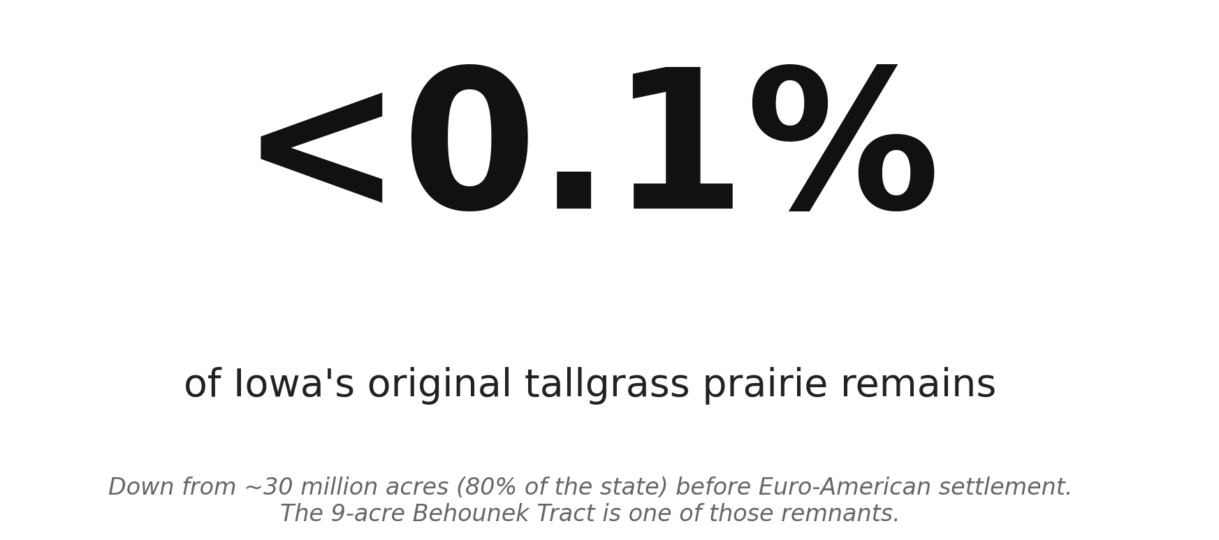 What's left of Iowa's tallgrass prairie