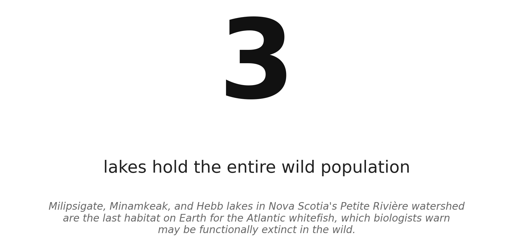 Three lakes, one species