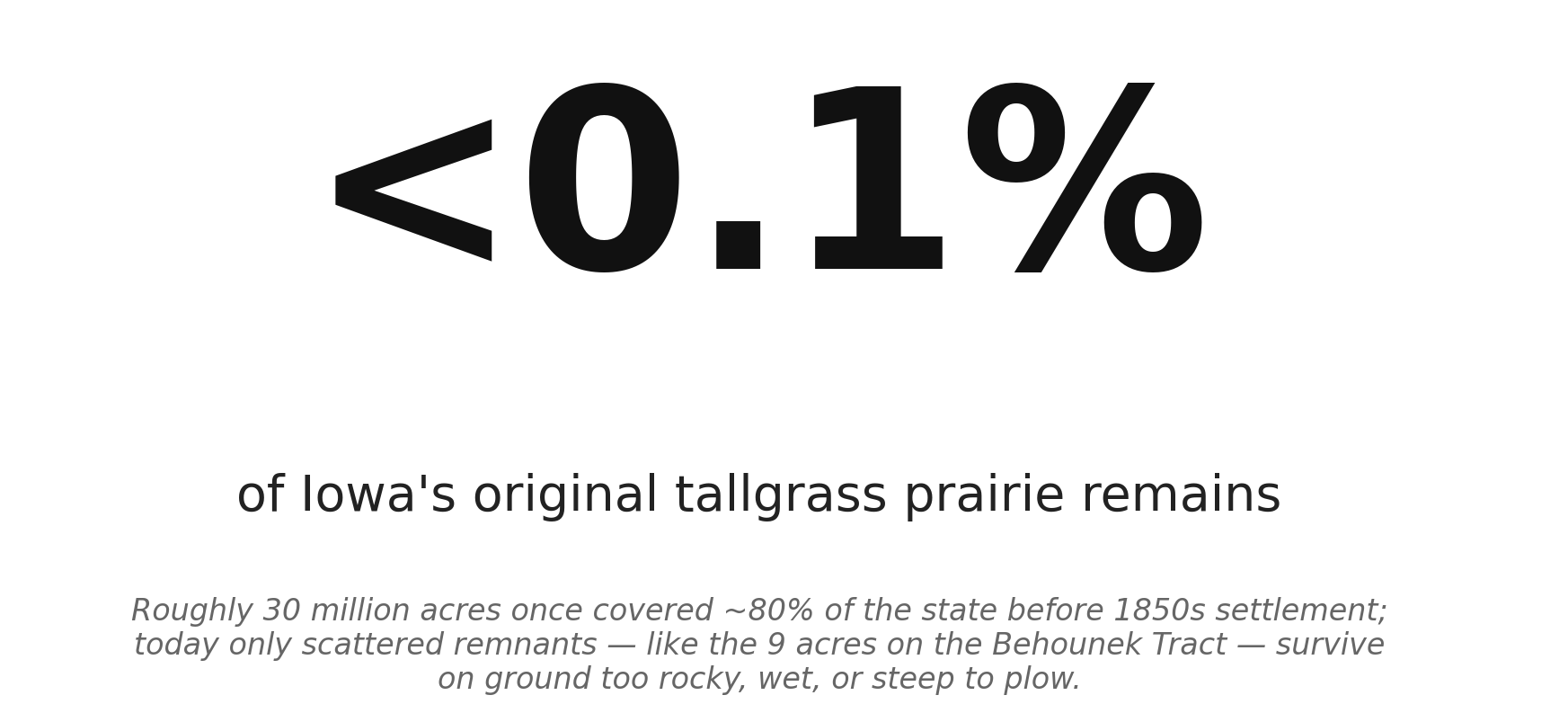 What's left of Iowa's tallgrass prairie