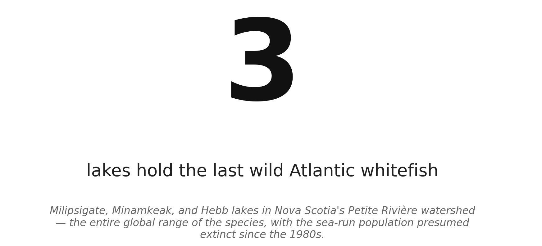 Three lakes. One species. Nowhere else on Earth.