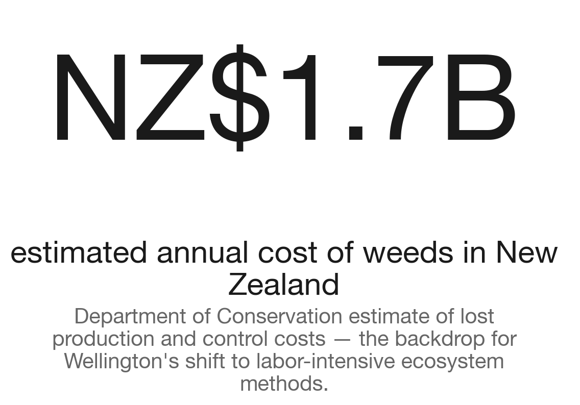 The scale of New Zealand's weed problem
