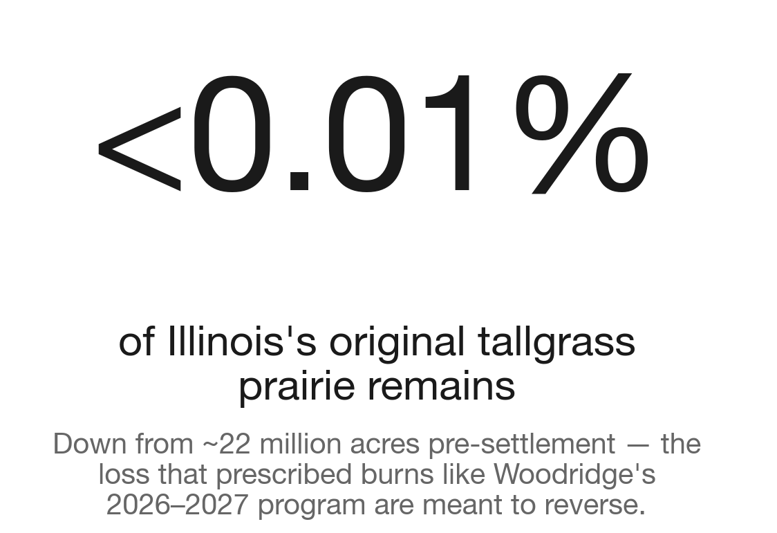 Less than 0.01% of Illinois's original prairie survives