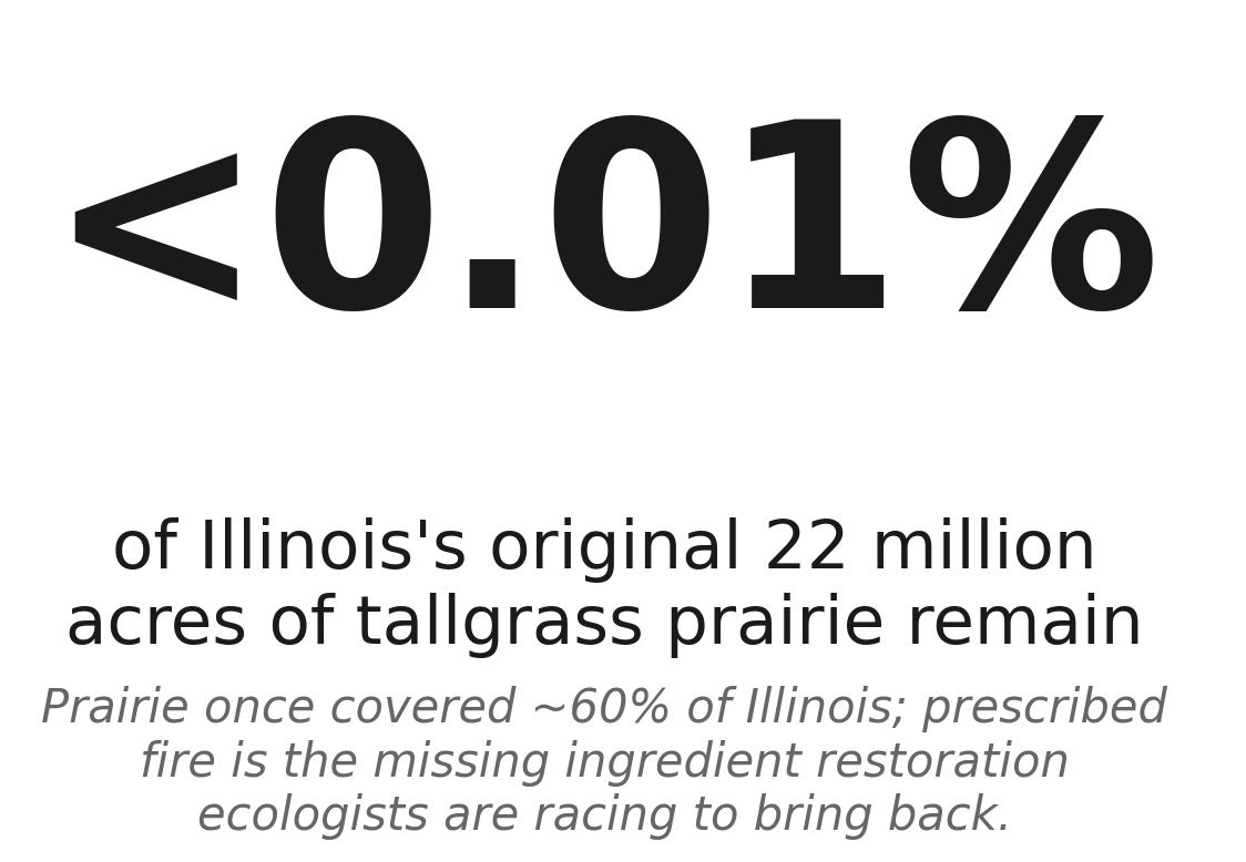 Illinois prairie: less than 0.01% remains