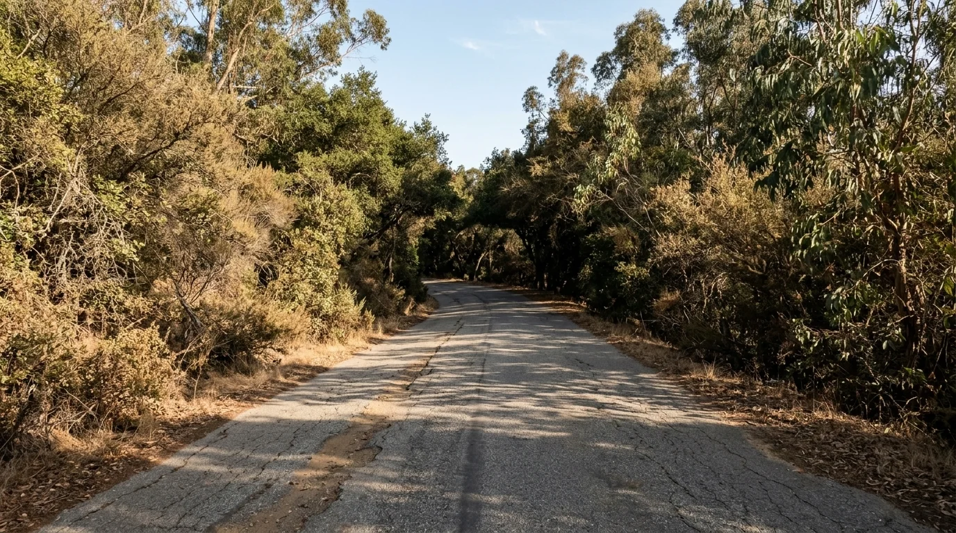 Fire-Trapped Peninsula Town Gets FEMA-Backed Work on Its Only Escape Route