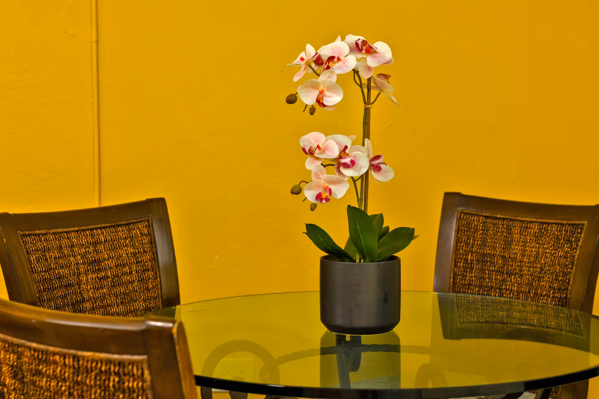 Glass table with a black pot holding white and pink orchids, surrounded by three brown woven-back chairs against a yellow wall.
