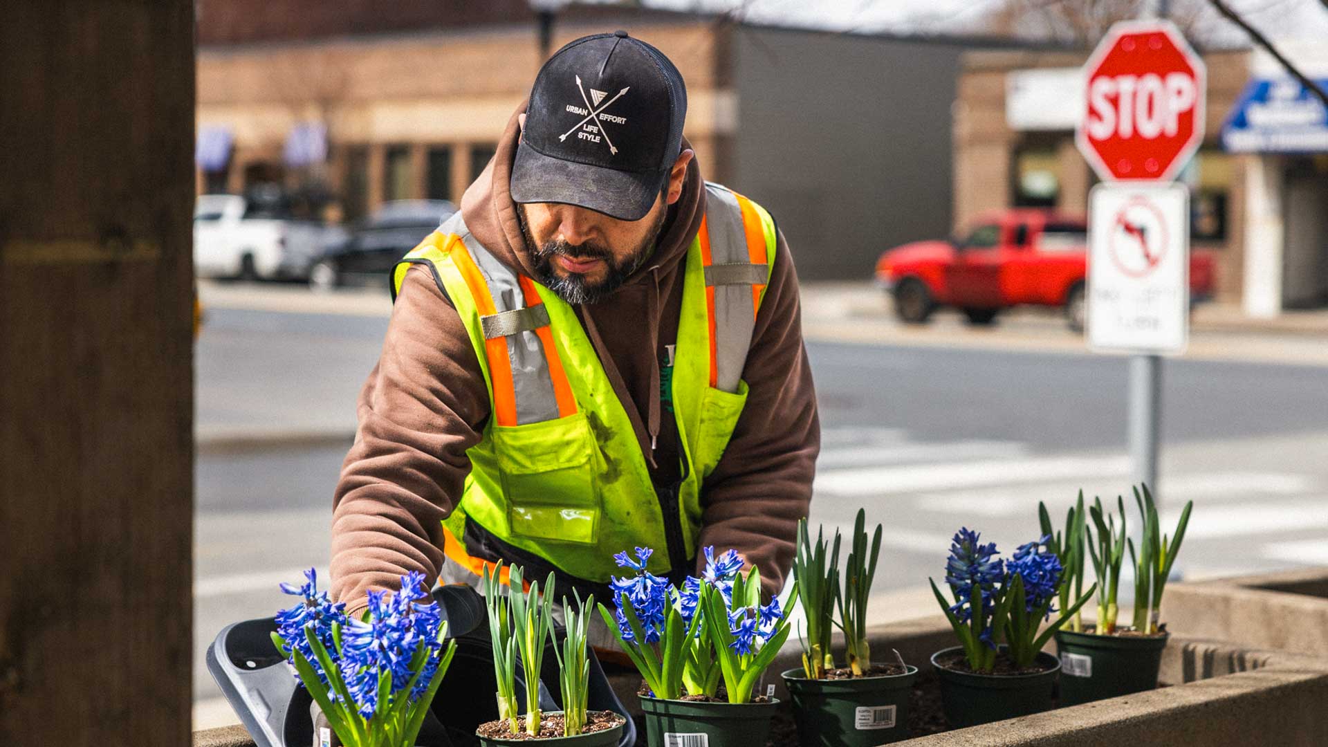 Man in safety vest arranging blue potted flowers on a street planter near a stop sign.