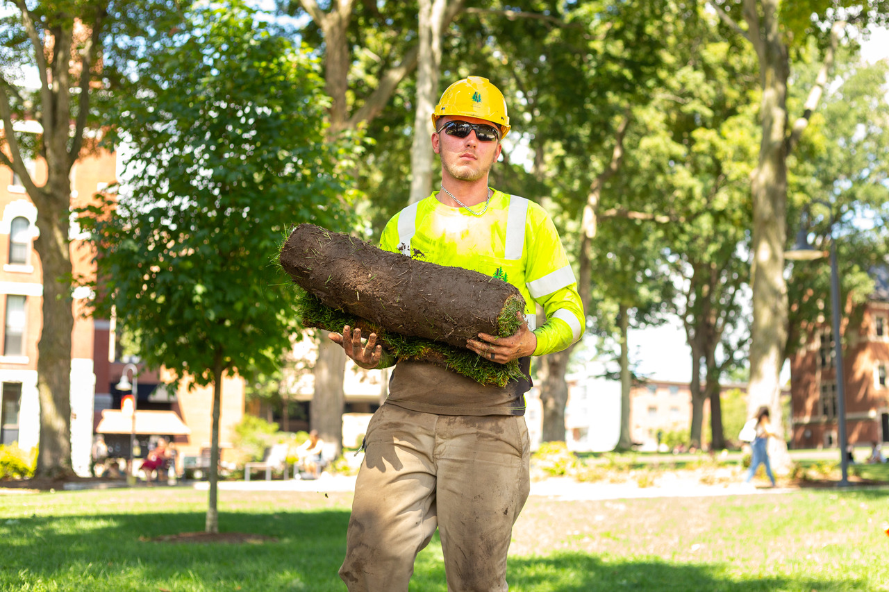 Worker wearing a yellow hard hat and reflective shirt carrying a heavy roll of sod outdoors.