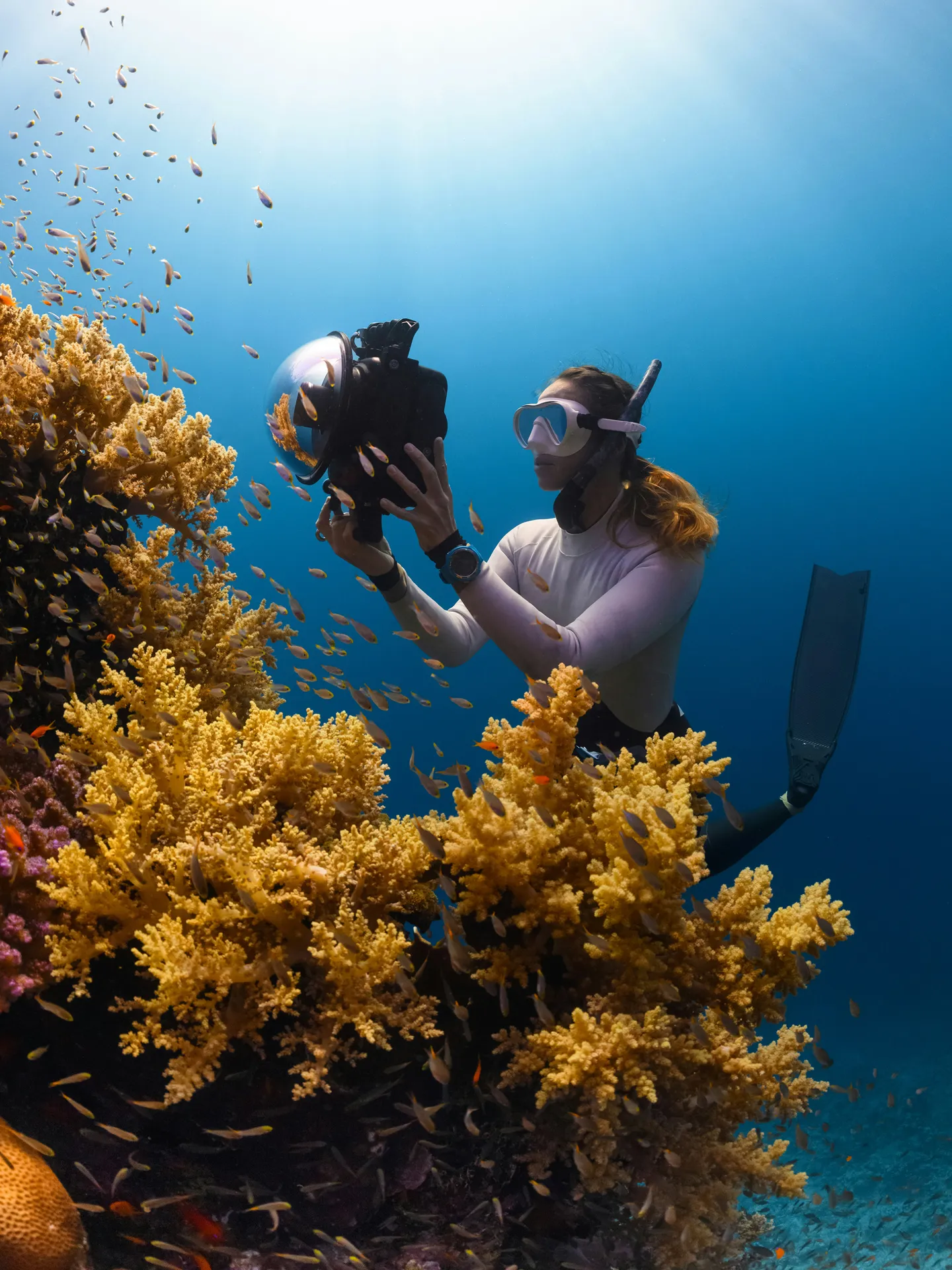 underwater photography