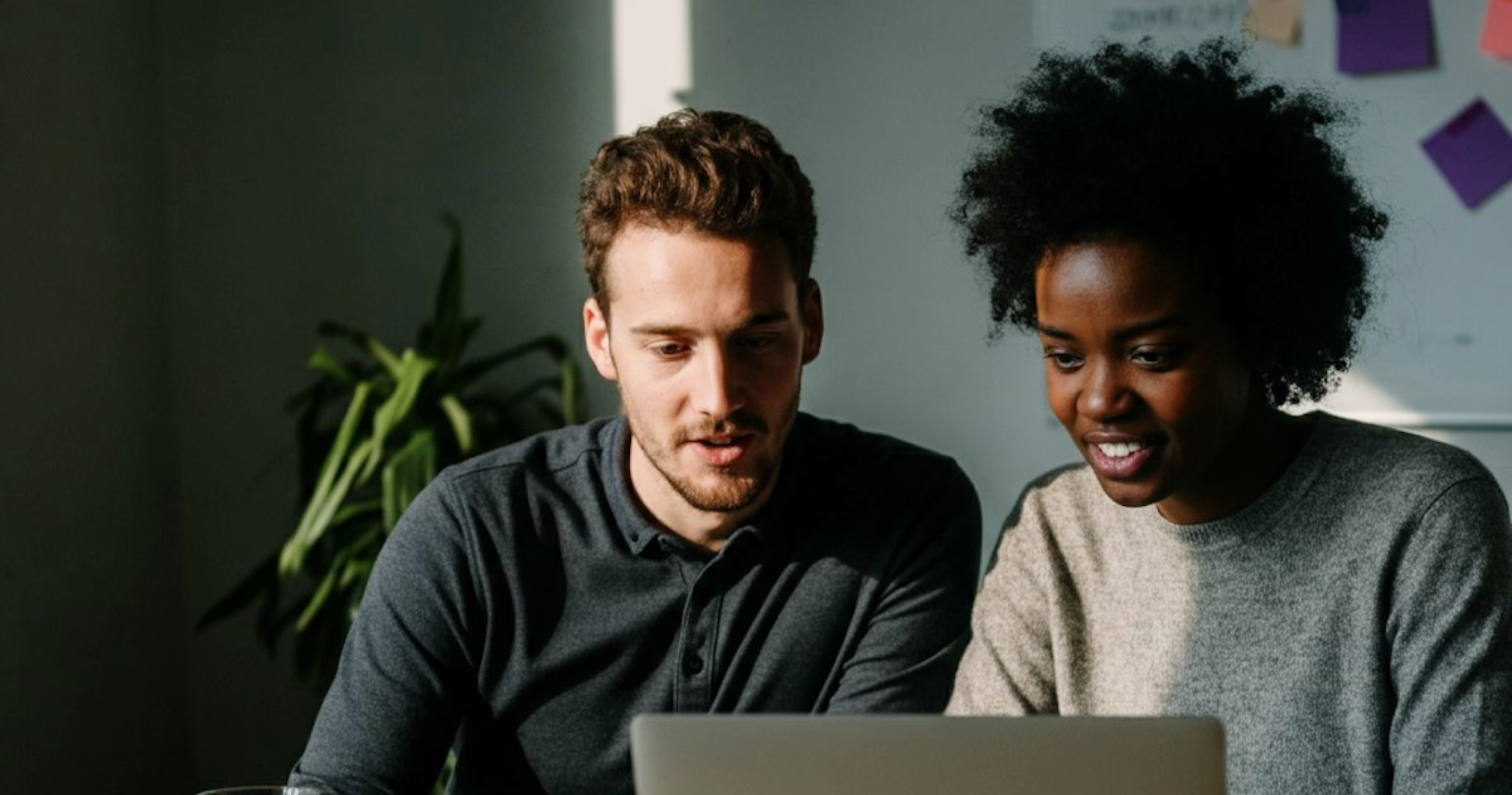 The Insight Engine: Interactive Brief Reports and Analysis.